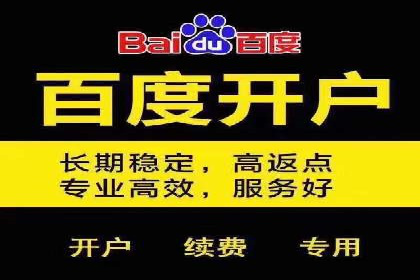 推广竞价策略优化：借鉴经典案例提升效果